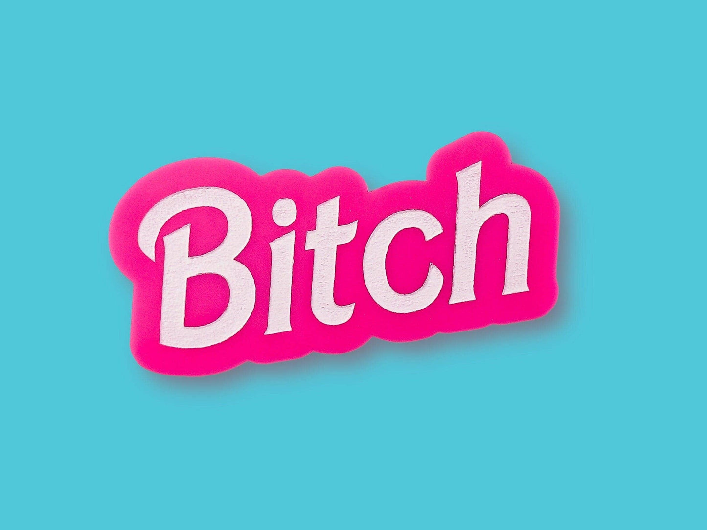 Bitch - Hand Painted Magnet