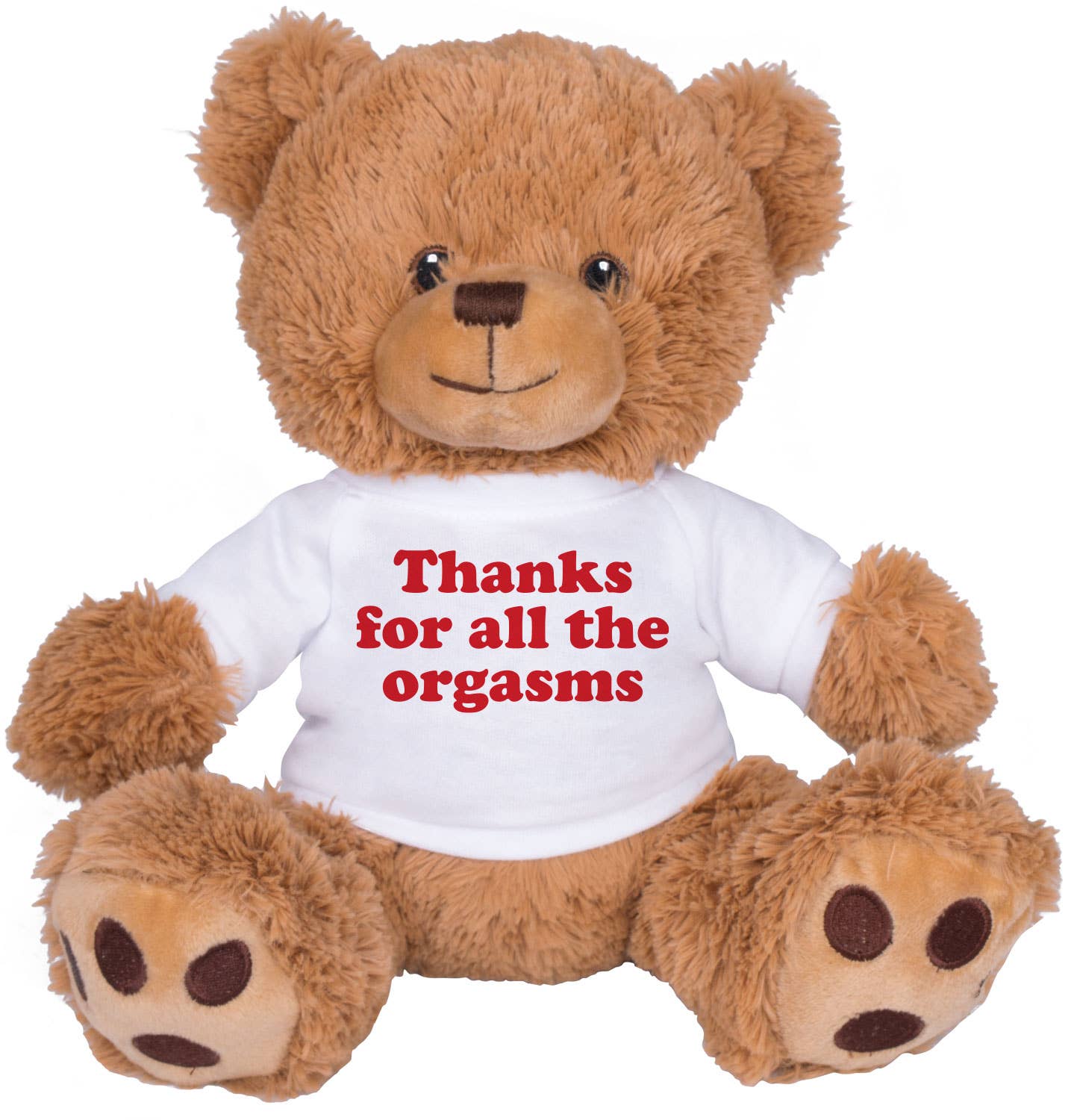 Thanks For The Orgasms Teddy Bear