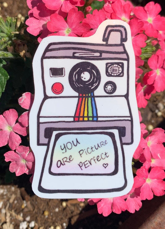 You Are Picture Perfect Sticker
