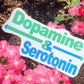 Dopamine & Serotonin Sticker - Pop Culture Inspired