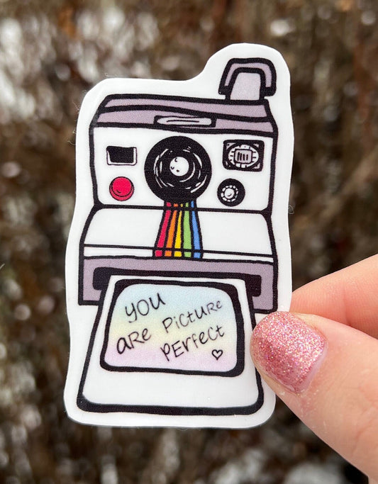 You Are Picture Perfect Sticker