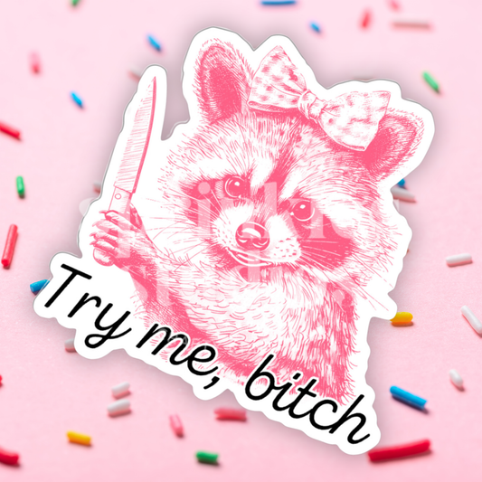 Try Me Bitch Vinyl Sticker