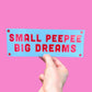 Bumper Sticker - Small Pee Pee Big Dreams - Waterproof