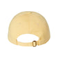 Don't Be A Dick Dad Hat
