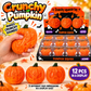 Crunchy Pumpkin ASMR Squishy (3 Face Styles)